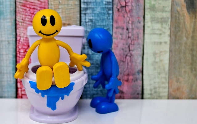 Een toilet ontwerpen