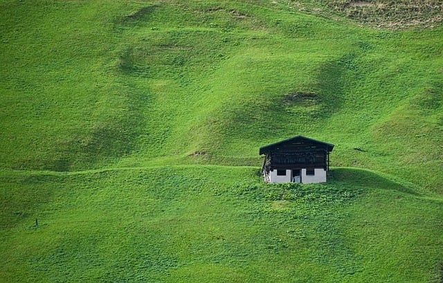 Emelten in het gras: herkennen en bestrijden van deze plaag