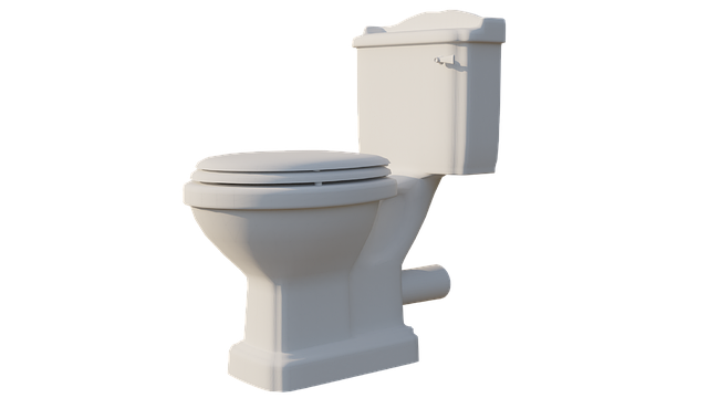Wc trekt vacuüm mogelijke oorzaken van dit ongebruikelijke problemen